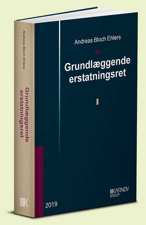 Product cover for Grundlæggende erstatningsret