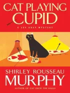 Product cover for Cat Playing Cupid