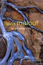 Product cover for Imaginary Life
