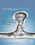 Product cover for From Molecules to Networks