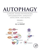 Product cover for  Cancer, Other Pathologies, Inflammation, Immunity, Infection, and Aging