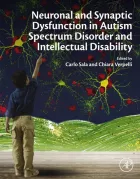 Product cover for Neuronal and Synaptic Dysfunction in Autism Spectrum Disorder and Intellectual Disability