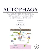 Product cover for  Cancer, Other Pathologies, Inflammation, Immunity, Infection, and Aging