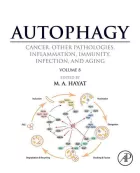 Product cover for  Cancer, Other Pathologies, Inflammation, Immunity, Infection, and Aging