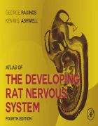 Product cover for Atlas of the Developing Rat Nervous System