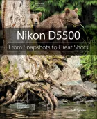 Product cover for Nikon D5500