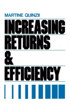 Product cover for Increasing Returns and Efficiency