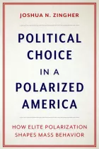 Product cover for Political Choice in a Polarized America