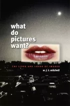 Product cover for What Do Pictures Want?