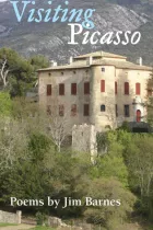 Product cover for Visiting Picasso