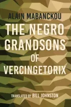 Product cover for The Negro Grandsons of Vercingetorix