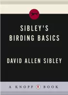 Product cover for Sibley's Birding Basics