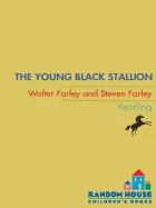 Product cover for The Young Black Stallion