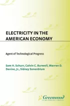 Product cover for Electricity in the American Economy