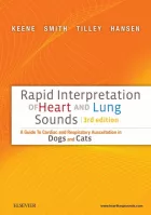 Product cover for Rapid Interpretation of Heart and Lung Sounds
