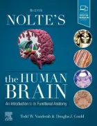 Product cover for Nolte's The Human Brain