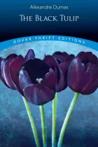 Product cover for The Black Tulip