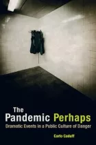 Product cover for Pandemic Perhaps