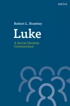 Product cover for  A Social Identity Commentary