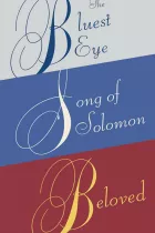 Product cover for Toni Morrison Box Set