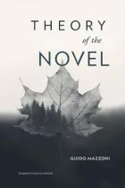 Product cover for Theory of the Novel
