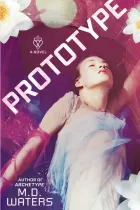 Product cover for Prototype