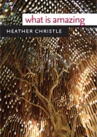 Product cover for What Is Amazing