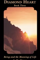 Product cover for  Being and the Meaning of Life