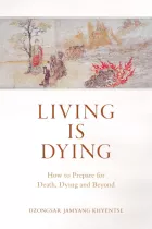 Product cover for Living Is Dying