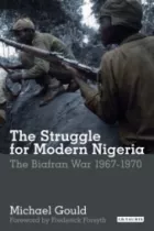 Product cover for The Struggle for Modern Nigeria
