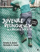 Product cover for Juvenile Delinquency in a Diverse Society