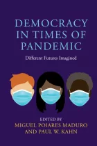 Product cover for Democracy in Times of Pandemic