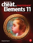 Product cover for How To Cheat in Photoshop Elements 11
