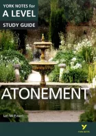 Product cover for  York Notes for A-level ebook edition