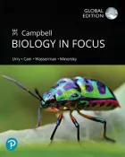 Product cover for Campbell Biology in Focus, Global Edition