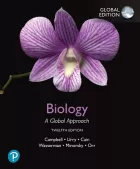 Product cover for  A Global Approach, Global Edition