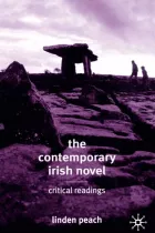 Product cover for The Contemporary Irish Novel