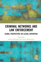 Product cover for Criminal Networks and Law Enforcement