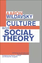 Product cover for Culture and Social Theory