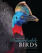 Product cover for Tales of Remarkable Birds