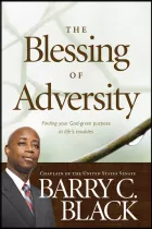 Product cover for The Blessing of Adversity