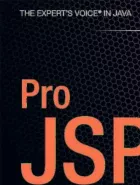 Product cover for Pro JSP 2