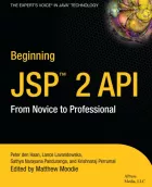 Product cover for Beginning JSP 2