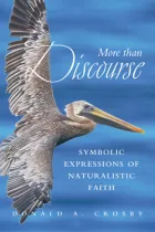Product cover for More Than Discourse