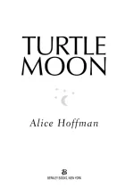 Product cover for Turtle Moon