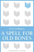 Product cover for A Spell For Old Bones
