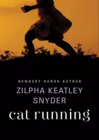 Product cover for Cat Running