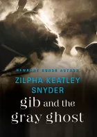 Product cover for Gib and the Gray Ghost