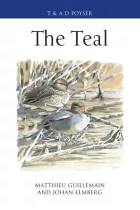 Product cover for The Teal