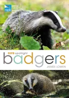 Product cover for  Badgers
